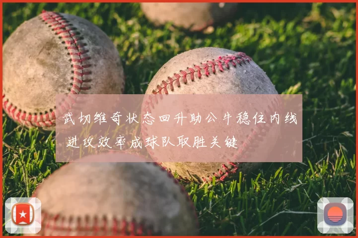 武切维奇状态回升助公牛稳住内线 进攻效率成球队取胜关键