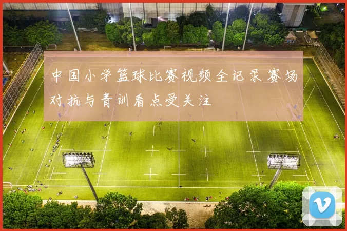 中国小学篮球比赛视频全记录 赛场对抗与青训看点受关注